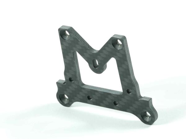 SWORKz Servosaver Abdeckung Pro-Composite Carbon